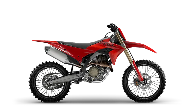 Desmo250 MX