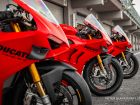 Ducati Day 2023 galeria