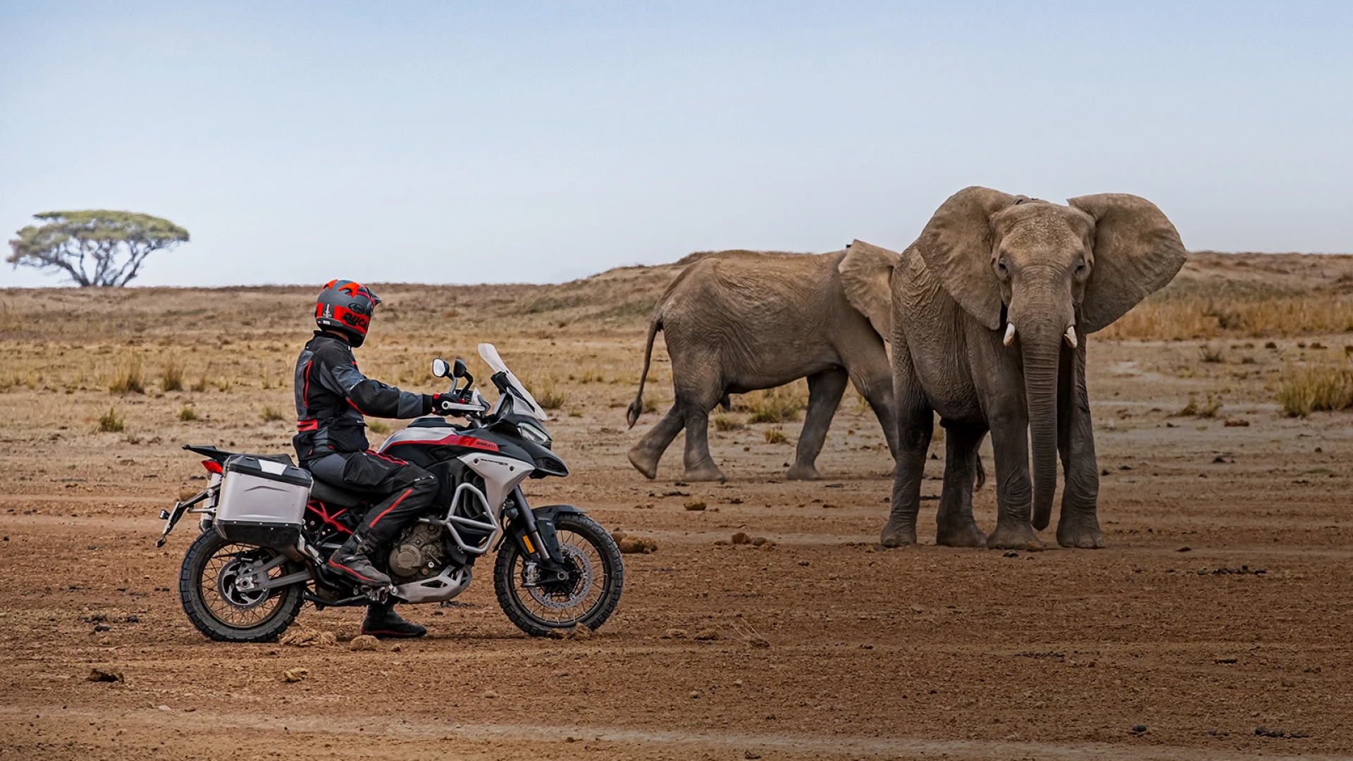 Multistrada V4 Rally