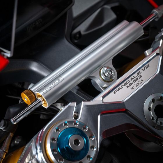Panigale V2 MM93
